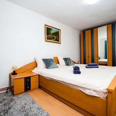 Holiday home Grad Salistea de Sus